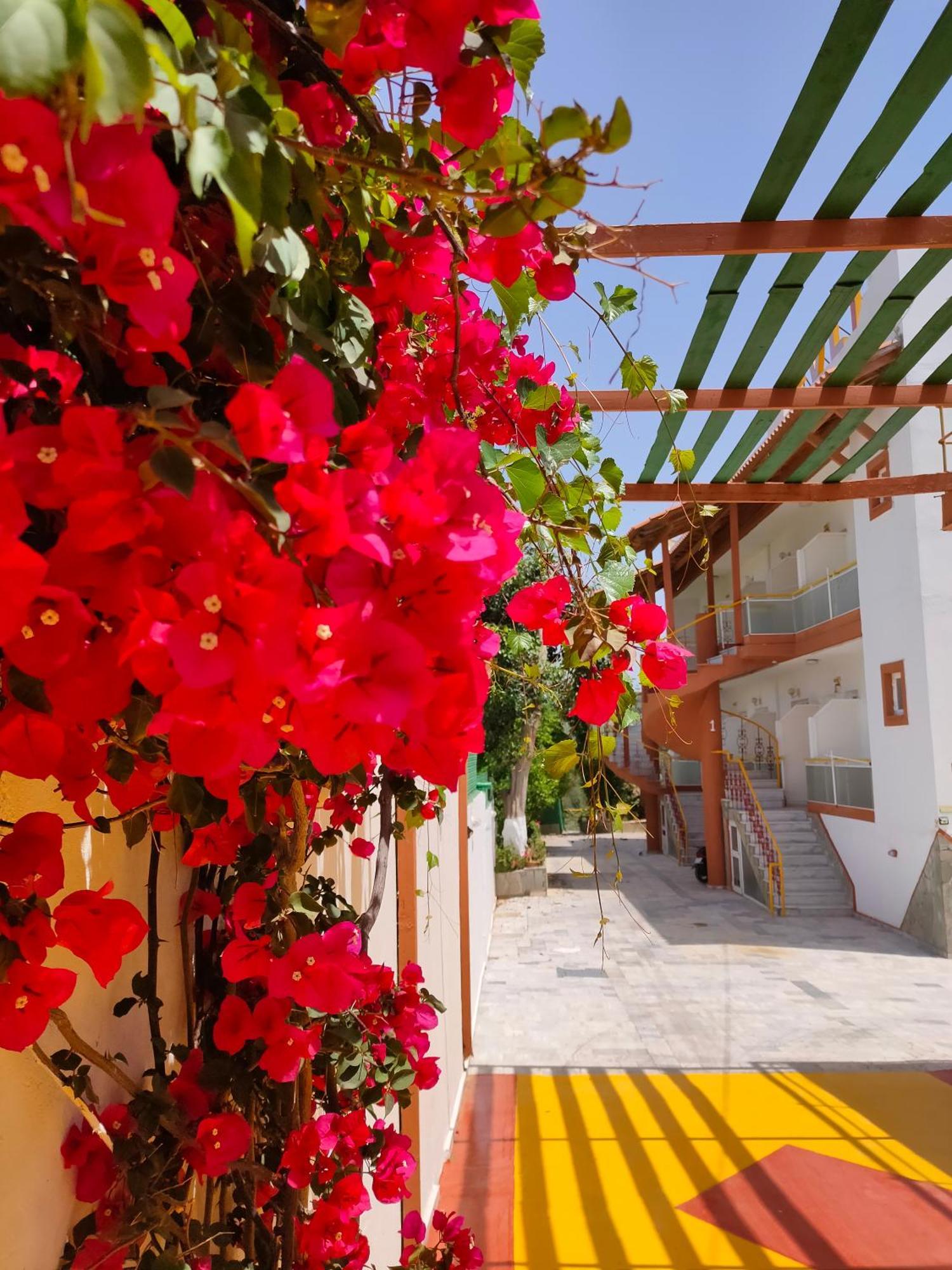 Apartamento Evli Rétino Exterior foto